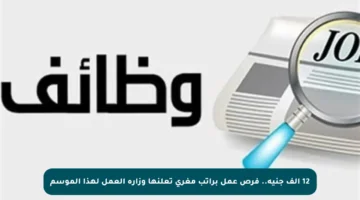 12 ألف جنيه.. فرص عمل براتب مغري تعلنها وزارة العمل لهذا الموسم